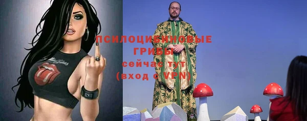 крисы Вяземский
