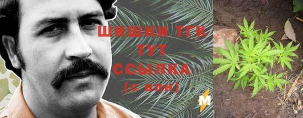 крисы Вяземский