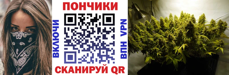 Купить где  Высоковск  Бошки марихуана Ganja 